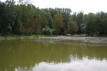 2006__102_.jpg
