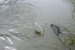 2006__105_.jpg