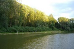 2006__113_.jpg