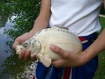 2006__82_.jpg