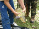 2006__96_.jpg