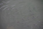 img_3259.jpg