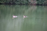 img_3260.jpg