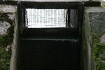 img_3272.jpg