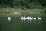 img_3282.jpg
