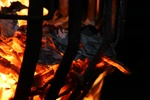 img_3388.jpg