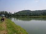 p8014100.jpg