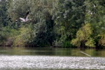 20080802_091447_eg.jpg
