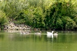 20080802_114406_eg.jpg