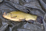 20080803_104427_eg.jpg