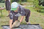 20080803_130902_eg.jpg