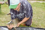 20080803_130912_eg.jpg