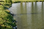 20080803_182023_eg.jpg
