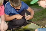20080803_193236_eg.jpg