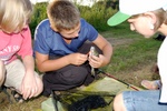 20080803_193239_eg.jpg