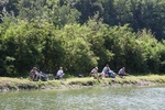 img_1464.jpg
