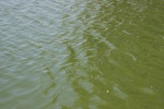 img_1530.jpg