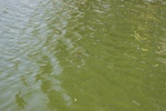 img_1531.jpg