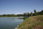 img_1548.jpg