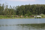 img_1549.jpg