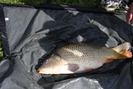 img_1663.jpg