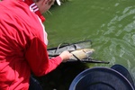 img_1665.jpg