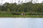 img_1733.jpg