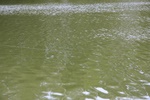 img_1740.jpg