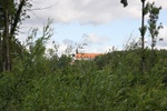 img_1785.jpg