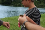 img_1805.jpg