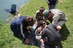 img_1886.jpg