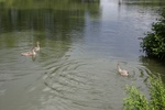 img_1959.jpg