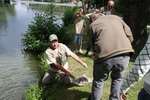 img_1963.jpg