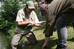 img_1964.jpg