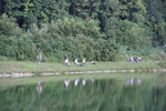 img_2226.jpg