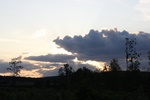 img_2468.jpg