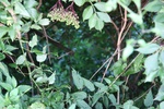 img_2561.jpg