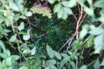 img_2562.jpg