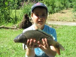 img_2217.jpg