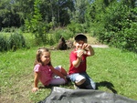 img_2227.jpg