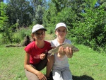 img_2278.jpg