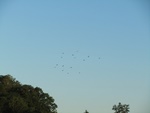 img_2394.jpg