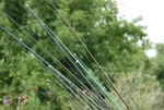 dsc06927.jpg