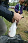 dsc06945.jpg