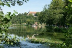 dsc06997.jpg