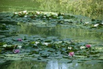 dsc07006.jpg