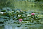 dsc07007.jpg