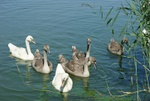 dsc07058.jpg