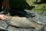 dsc07105.jpg