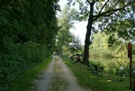 dsc07213.jpg